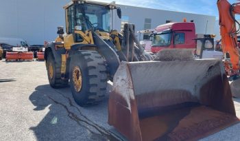 Volvo L110H full